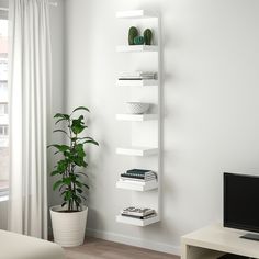 a living room with a tv, plant and bookshelf on the wall in front of it