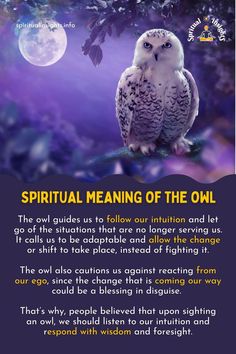 Spiritual Meaning of the Owl Moon Profile, Animal Totem Spirit Guides, Owl Tattoo Meaning, Feminine Wellness, Cute Owl Tattoo, Moon Nature