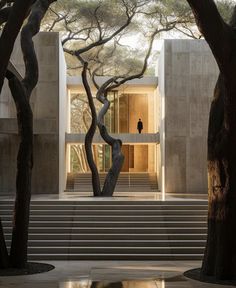 an empty building with stairs and trees in the foreground, next to it is a bird perched on a tree