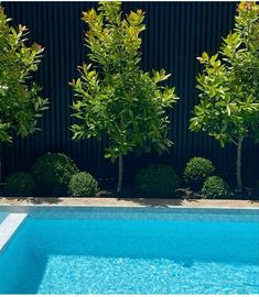 an empty swimming pool surrounded by trees and shrubs in front of a black fenced wall