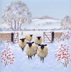 three sheep are standing in the snow near a fence and trees with red berries on it