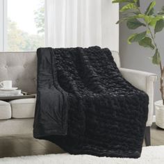 a couch with a black blanket on top of it next to a potted plant