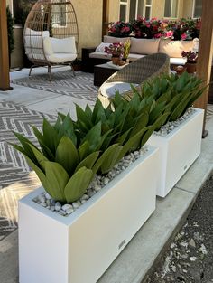 some plants that are sitting in white planters