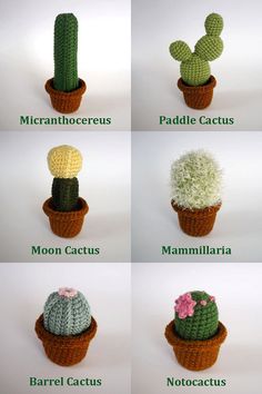 six crocheted cactuses are shown in different colors and sizes, each with their own name