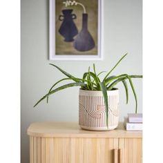 a potted plant sitting on top of a wooden table next to a framed painting