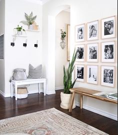 a living room with pictures on the wall and a bench in front of some plants