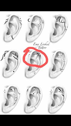 an ear is shown with different types of ears and the word end lock letters on it