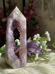 Amethyst Dragon, Healing Magic, Plume Agate, Flower Agate