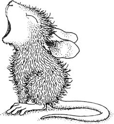 a drawing of a rat sitting on the ground with its head turned to the side