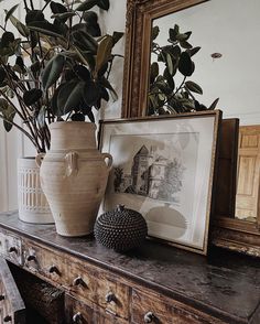 a potted plant sitting on top of a wooden table next to a framed photograph