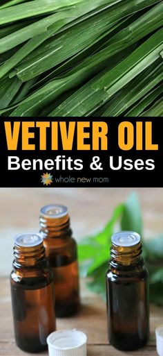 Amazing Vetiver Essential Oil Uses and Benefits - you'll be amazed at all that this fairly unknown essential oils can do! #naturalremedies #essentialoils #healthyliving #natural Vetiver Essential Oil Uses, Ideas For Skin Care, Essential Oils Roller, Oils For Healing, Excellent Health, Diy Diffuser, Roller Bottle Recipes, Vetiver Oil, Vetiver Essential Oil