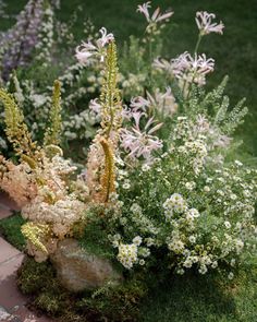 several different types of flowers in a garden