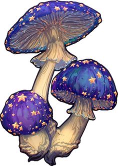 three blue mushrooms with stars on them are shown in this drawing by artist mark stewart