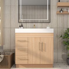 a bathroom with a sink, mirror and shelves on the wall next to a potted plant