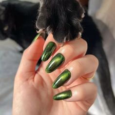 Green velvet polish is another stunning choice for spooky season. It takes on a villainous air, don't you think? Forest Nails, Wicked Nails, Easy Halloween Nails Design, Types Of Nail Polish, Halloween Nails Easy, Velvet Nails