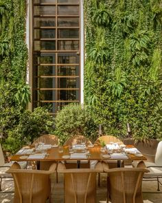 an outdoor dining area with wicker chairs and wooden table surrounded by greenery on the wall