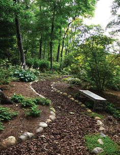 a wooden bench sitting in the middle of a forest