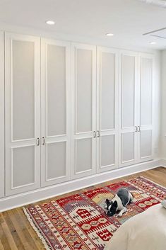 a cat laying on top of a rug in a room with white cabinets and drawers