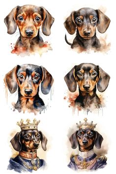 four dachshund dogs with crowns on their heads, all in different poses