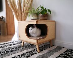 a white cat sitting in a wooden box on top of a black and white rug