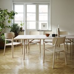 a dining room table with chairs and a potted plant next to it in front of a window