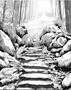 a black and white drawing of a path in the woods with rocks on either side