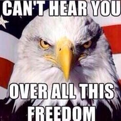 an eagle with the words can't hear you over all this freedom