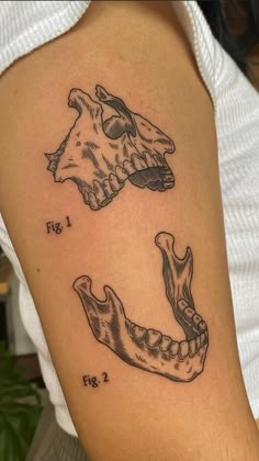 a woman's arm with two different tattoos on the arms and one has a horse head