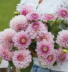 a woman holding a bouquet of pink flowers