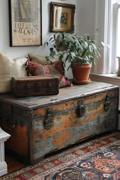 an old trunk sitting on top of a rug next to a potted plant