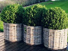 three baskets with plants in them sitting on a wooden deck