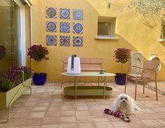 a white dog laying on the ground next to a table and chairs