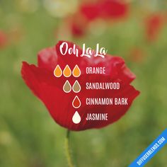 Ooh La La - Essential Oil Diffuser Blend Essential Oil Perfumes Recipes, Perfume Recipes