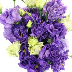 a bouquet of purple and white flowers on a white background with clipping for text