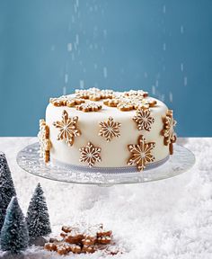 a white frosted cake sitting on top of a glass platter covered in snow