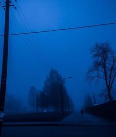 a person walking down a street in the fog at night with power lines above them