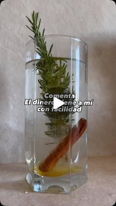 a glass vase filled with water and herbs