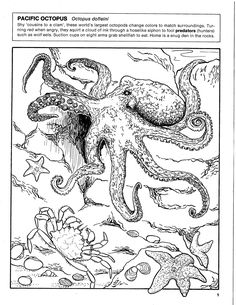 an octopus is swimming in the ocean with other sea animals and fish around it, coloring page