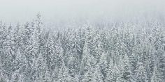 Book Loft Winter Wallpaper Hd, Wallpaper Tablet, Snow Forest, Theme Tattoo, Free High Resolution Photos, Ski Town, Summer Dining