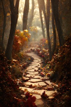 a stone path surrounded by trees and leaves