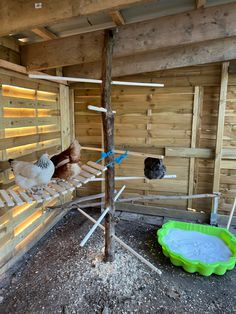 several chickens in a wooden chicken coop