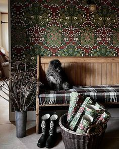 a dog is sitting on a bench in front of a wallpapered room with flowers