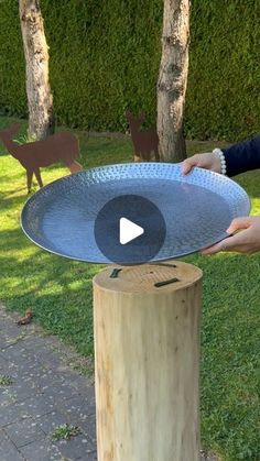 a person holding a metal plate on top of a tree stump