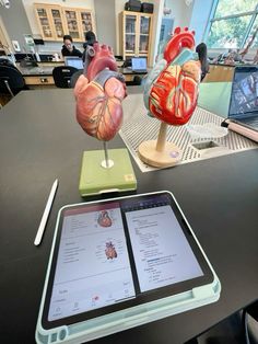 a tablet with a model of the human heart on it next to an open laptop