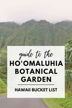 Planning a trip to Hawaii? Be sure to add the Ho'omaluhia Botanical Garden in Oahu to your trip itinerary. We share our tips for visiting! Honulolo Hawaii Things To Do, Oahu Botanical Gardens, Haiku Gardens Oahu, Honolulu Botanical Gardens, Oahu Waikiki, Oahu Hawaii Botanical Garden, Hoomaluhia Botanical Gardens, Hauula Oahu, Botanical Garden Oahu