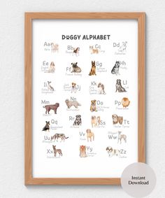 a framed poster with dogs alphabets on it