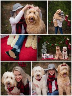 a collage of photos with different dogs and people wearing hats, scarves and scarfs