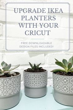 three potted plants with the text upgrade ikea planters with your cricut