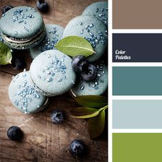 blueberry macaroons and green leaves on a wooden table with color swatches