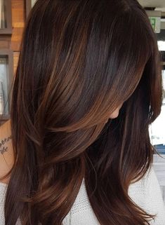 Warm Brunette Hair Color, Hair Color Brown Chestnut, Chestnut Brown Hair, Rambut Brunette, Peekaboo Highlights, Chestnut Hair, Chestnut Hair Color